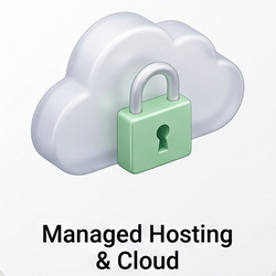 Managed hosting en cloud computing